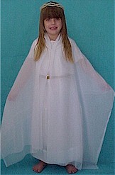 angel.jpg (12710 bytes)