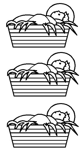 Baby Jeusus