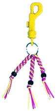 backpack_laynard.gif (6492 bytes)