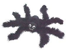 boa_spider.gif (15889 bytes)
