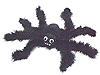 boa_spider_small.gif (4232 bytes)