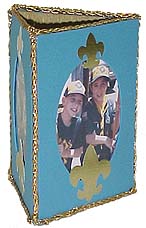 bs_frame_bluegold.jpg (14785 bytes)