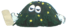 bug_feelbetter.GIF (11718 bytes)