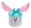 Easter Bunny Craft