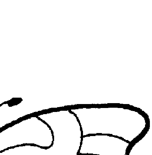butterfly_topright.gif (2401 bytes)