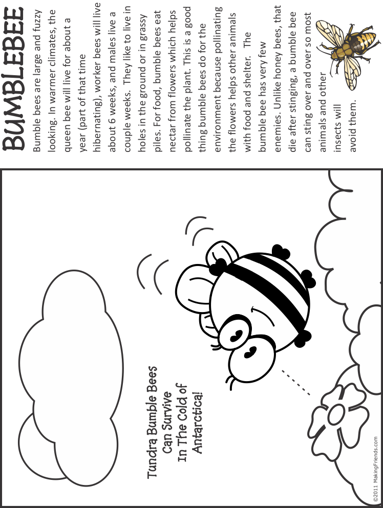 Bumble Bee