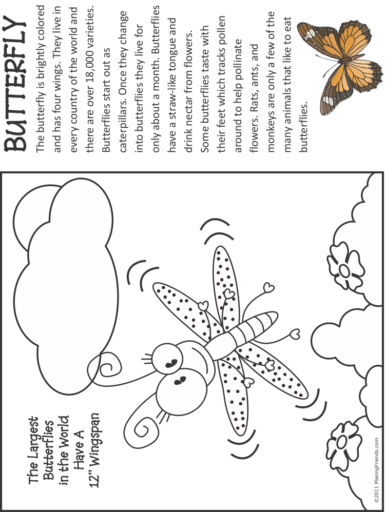 Butterly
