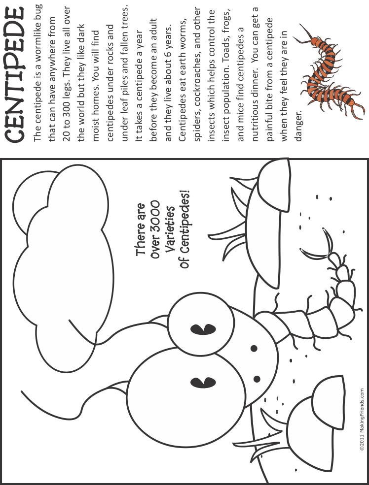 centipede