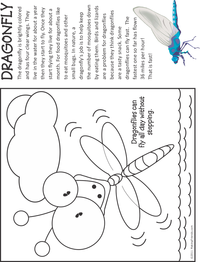 Dragonfly