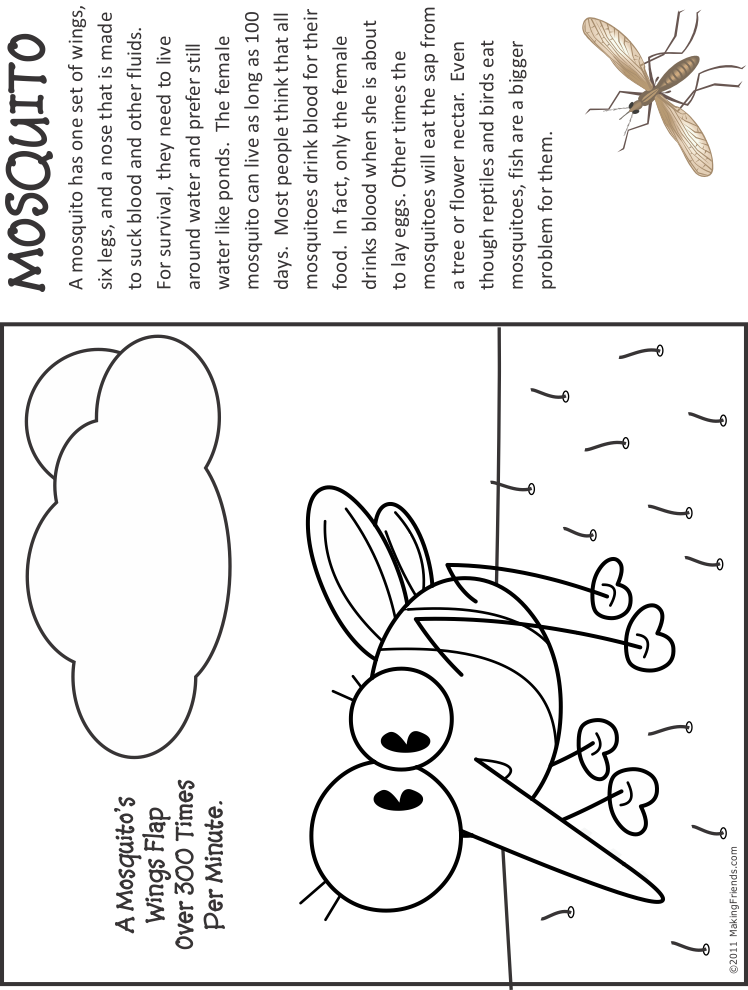 Mosquito Coloring Page