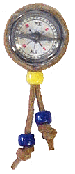 compass_swap.gif (13323 bytes)