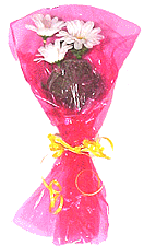 daisy_bouquet.gif (16076 bytes)