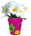 Daisy Garden Pot