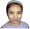 Madagascar Face Painting
