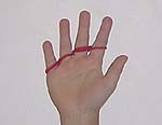 fingerweave2.jpg (5331 bytes)