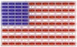 flag_plastic_canvas.jpg (10265 bytes)