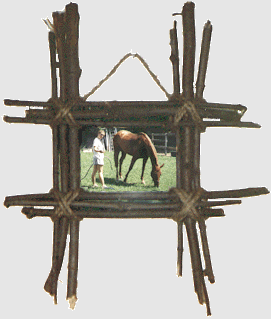 frame stick.GIF (33246 bytes)