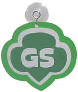 gs_window.gif (14492 bytes)