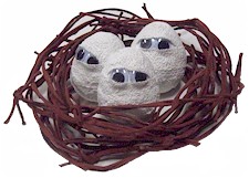 Halloween Mummy Egg Craft