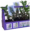 Herb Garden