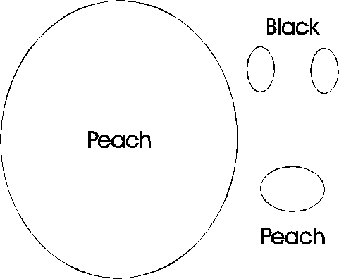 hx_peach.gif (3185 bytes)