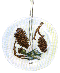 icy_sun_catcher.gif (24998 bytes)