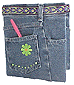 jeans_book_cover_small.gif (6283 bytes)