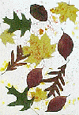 leaf_suncatcher_small.gif (8651 bytes)