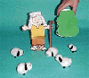 lost_sheep_small.gif (7006 bytes)
