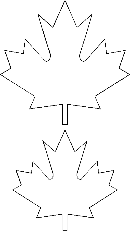 maples.gif (5043 bytes)