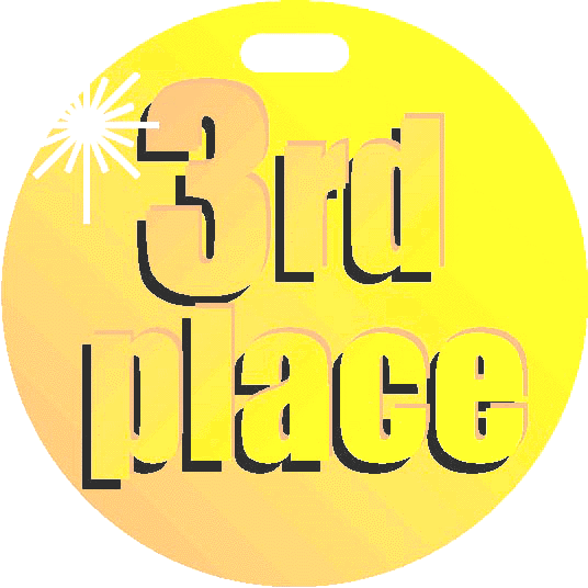 medal3.gif (108980 bytes)