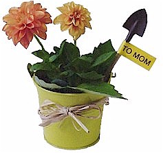 Mom Flower Bucket