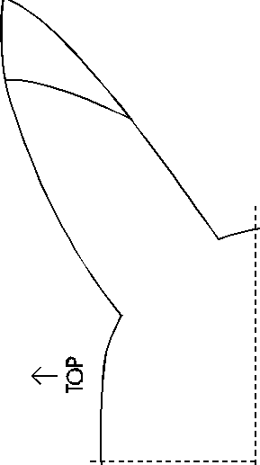 pikarightear.gif (2347 bytes)
