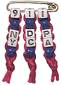 pin_911.gif (12816 bytes)