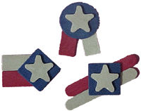 pins_usa.gif (11646 bytes)