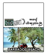 Mini Postcard from Barbados
