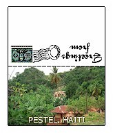 Haiti Post Card
