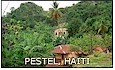 Haiti Post Card