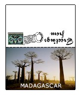 Madagascar Mini Post Card