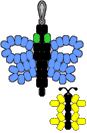 px_butterflies.gif (3717 bytes)