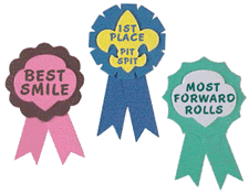 scout_ribbons.gif (16040 bytes)
