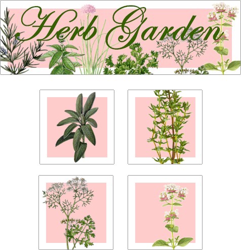 Herb Garden Printable Art