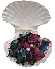 shell_potpourri_small.gif (6311 bytes)