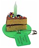 Girl Scout Birthday Cake SWAP
