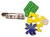 Swiss Cheese SWAP