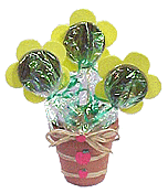teacher_candy.gif (15025 bytes)