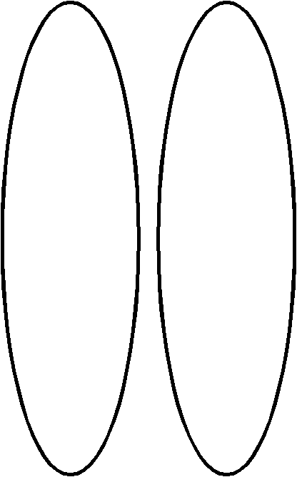 turkora2.gif (5121 bytes)