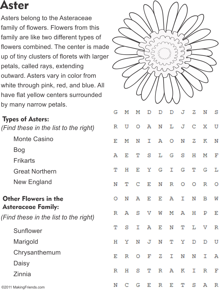 Aster Flower Word Search