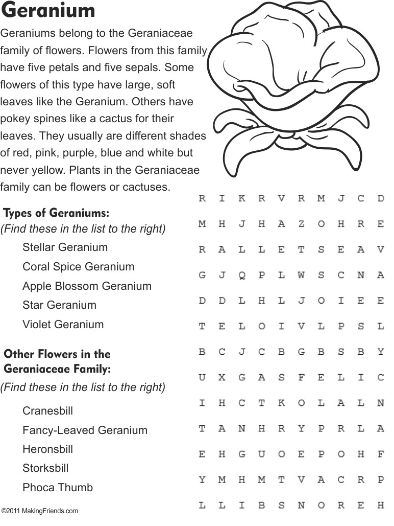 Geranium Flower