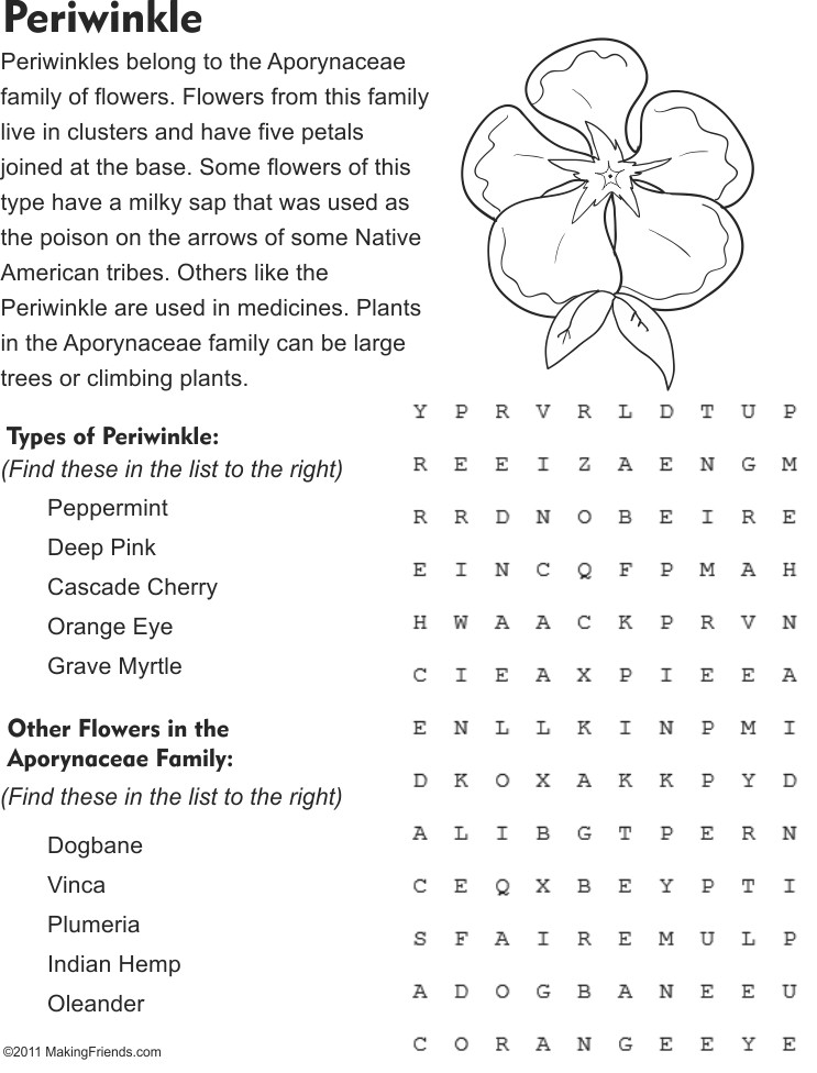 Periwinkle Flower